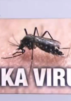 Việt Nam nâng cảnh báo sau vụ du khách Australia nhiễm Zika