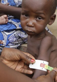 LHQ tạm ngừng viện trợ nhân đạo tại Đông Bắc Nigeria do vấn đề an ninh