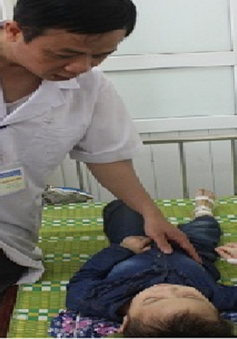 Nghệ An: Ong đốt làm 18 cô trò phải nhập viện