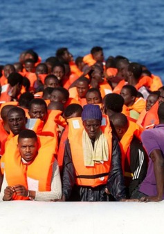 Cứu sống hơn 200 người di cư trên biển Địa Trung Hải