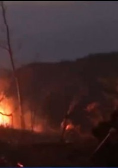 Dập tắt đám cháy tại vườn quốc gia Hoàng Liên
