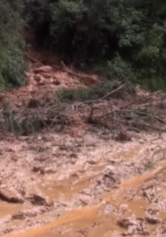 Sạt lở đất ở Yên Bái vẫn diễn biến phức tạp