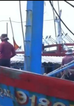 Tàu cá nước ngoài đe dọa tàu cá Quảng Nam