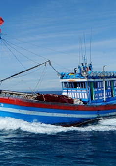 Bộ Ngoại giao phản đối Thái Lan sử dụng vũ lực với ngư dân