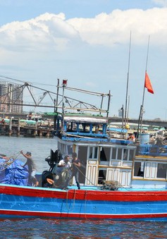 Bình Định kêu gọi cứu hộ tàu cá bị trôi dạt trên biển