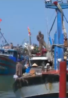 Quảng Ngãi: Cấp giấy phép sử dụng tần số vô tuyến điện cho tàu cá