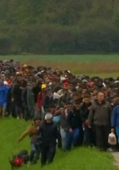 Số người tị nạn tại Đức giảm mạnh