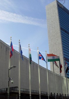 Trụ sở Liên Hợp Quốc và đóng góp kinh tế cho New York