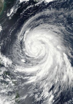 Đài Loan (Trung Quốc) sơ tán du khách trước khi bão Megi đổ bộ