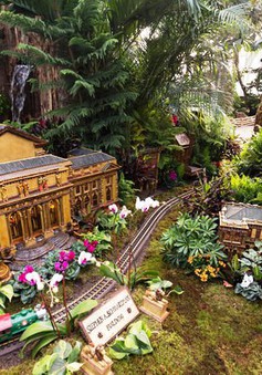 Kỳ thú triển lãm xe lửa trong vườn thực vật thu nhỏ tại Mỹ