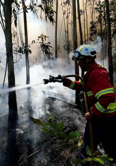 Cháy rừng nghiêm trọng tại đảo Madeira, Bồ Đào Nha