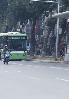 Các phương tiện đã có ý thức không đi vào làn BRT