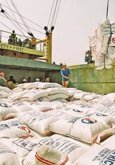 Nhiều doanh nghiệp xuất khẩu gạo Việt Nam bị loại khỏi thị trường Mỹ