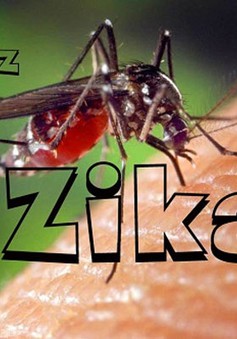 Kêu gọi hội nghị khu vực Mỹ La tinh nhằm đối phó virus Zika