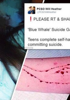 Cảnh báo trò chơi tự sát Thử thách cá voi xanh ở Chile