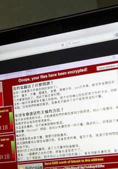 Hơn 240 đơn vị tại Việt Nam bị nhiễm mã độc WannaCry