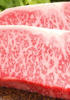 Nga cân nhắc tạm cấm nhập khẩu thịt bò từ New Zealand