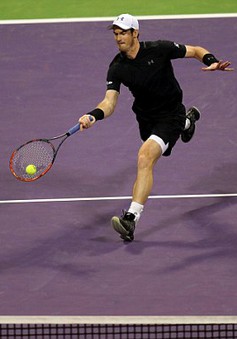 Bán kết Qatar Open: Thắng dễ Berdych, Murray gặp Djokovic ở chung kết