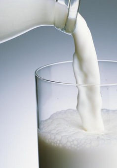 Uống nhiều sữa bị loãng xương: Có chính xác?