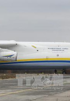 Ukraine “khai tử” Tập đoàn máy bay Antonov