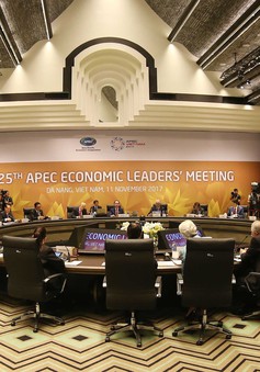 VIDEO: Khai mạc Hội nghị các nhà lãnh đạo kinh tế APEC
