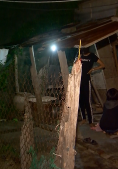 Ứng phó bão số 12, Ninh Thuận di dời dân trong đêm