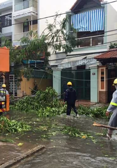 Bão số 12 càn quét Khánh Hòa, nhiều nhà dân bị đổ sập, hư hỏng nặng