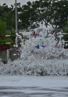 TP.HCM: Bọt tuyết phủ đầy kênh Tàu Hủ