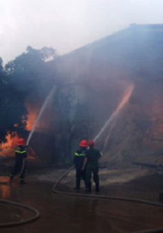 Cháy lớn tại kho chứa nông sản ở Bình Định