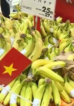 Các thị trường khó tính chuộng chuối Việt Nam