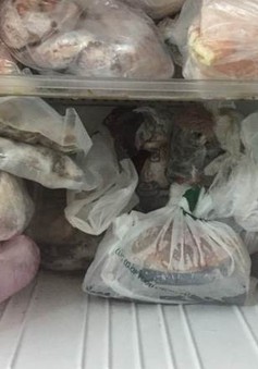 Cách sử dụng túi nilon bảo quản thức ăn trong tủ lạnh tránh bệnh tật