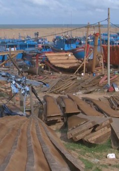 "Cơn sốt giá" gỗ đóng sửa tàu cá, bè thủy sản