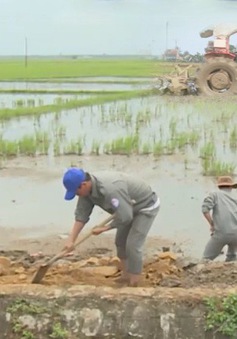 Phú Yên: Khắc phục khẩn cấp kênh mương kịp gieo sạ vụ Đông Xuân