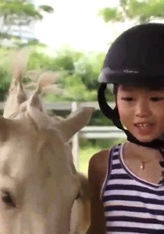 Cưỡi ngựa - Thú chơi mới tại Hà Nội