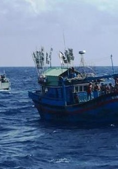Cứu hộ khẩn cấp tàu cá cùng 6 ngư dân gặp nạn trên biển