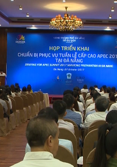 Đà Nẵng cấm gần 30 tuyến đường trong Tuần lễ Cấp cao APEC
