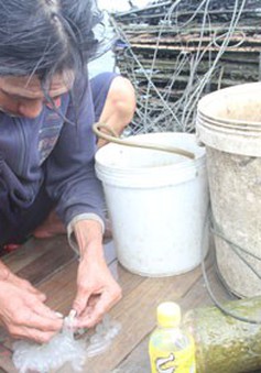 Trải nghiệm câu bóng mực tại làng nghề Bình Tiên, Ninh Thuận