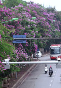 Cấm ô tô, thu hẹp đường Kim Mã còn 3m để làm Metro Hà Nội