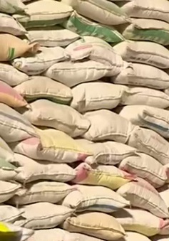 Không xuất khẩu được gạo chính ngạch, DN đứng trước nguy cơ đóng cửa