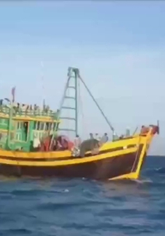 Truy bắt các đối tượng đánh bắt hải sản trái phép trên biển