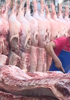 Giá lợn hơi xuống thấp, người tiêu dùng vẫn phải mua thịt giá cao