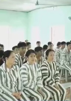 Công an Đà Nẵng giảm án cho 28 phạm nhân dịp Tết Nguyên đán