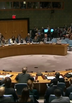 Hội đồng Bảo an LHQ không thông qua dự thảo nghị quyết về Syria