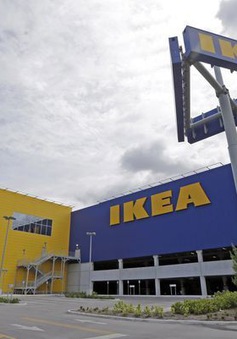 EU điều tra các thỏa thuận thuế tại Hà Lan của IKEA