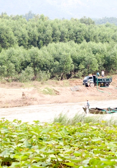 Tái diễn nạn khai thác cát trái phép tại Khánh Hòa