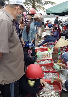 Quảng Bình: Tiêu thụ hải sản ở chợ Đồng Hới nhộn nhịp trở lại