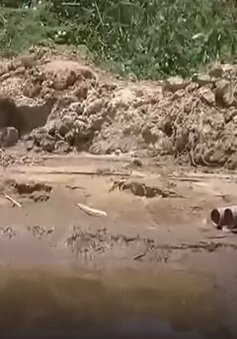Quảng Ngãi ngăn chở cát nhiễm mặn ra Đà Nẵng