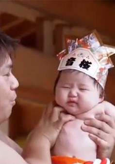 Võ sĩ Sumo dọa trẻ con khóc thét ở Nhật Bản