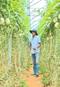 Thanh niên lập nghiệp bằng nông sản độc đáo