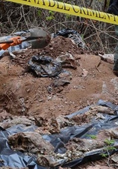 Mexico phát hiện hơn 240 thi thể trong những ngôi mộ tập thể